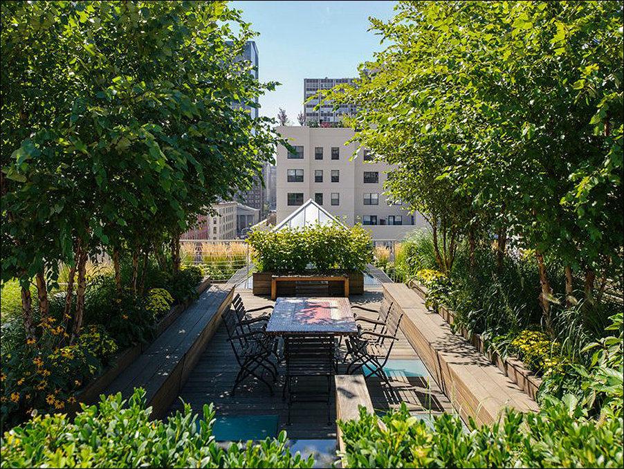 Что скрывают крыши