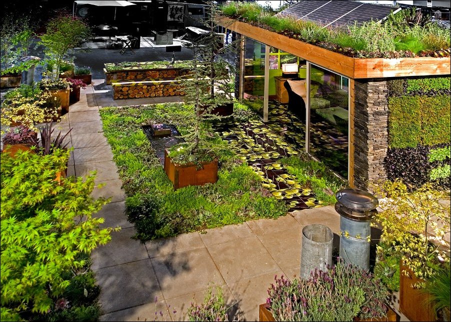 Что скрывают крыши