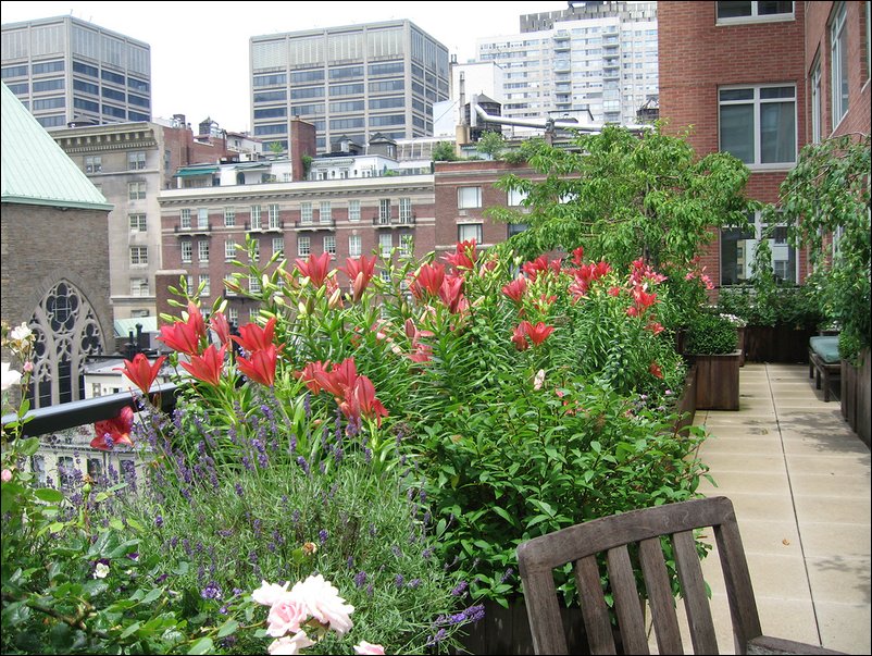 Что скрывают крыши