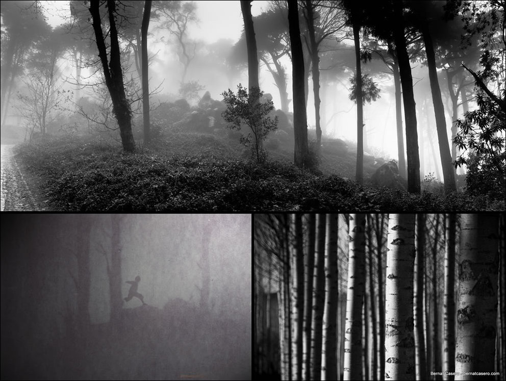 Пугающий лес