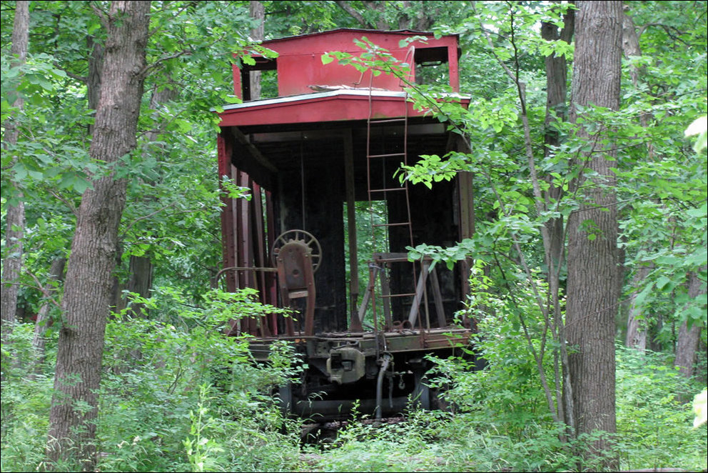 Пугающий лес