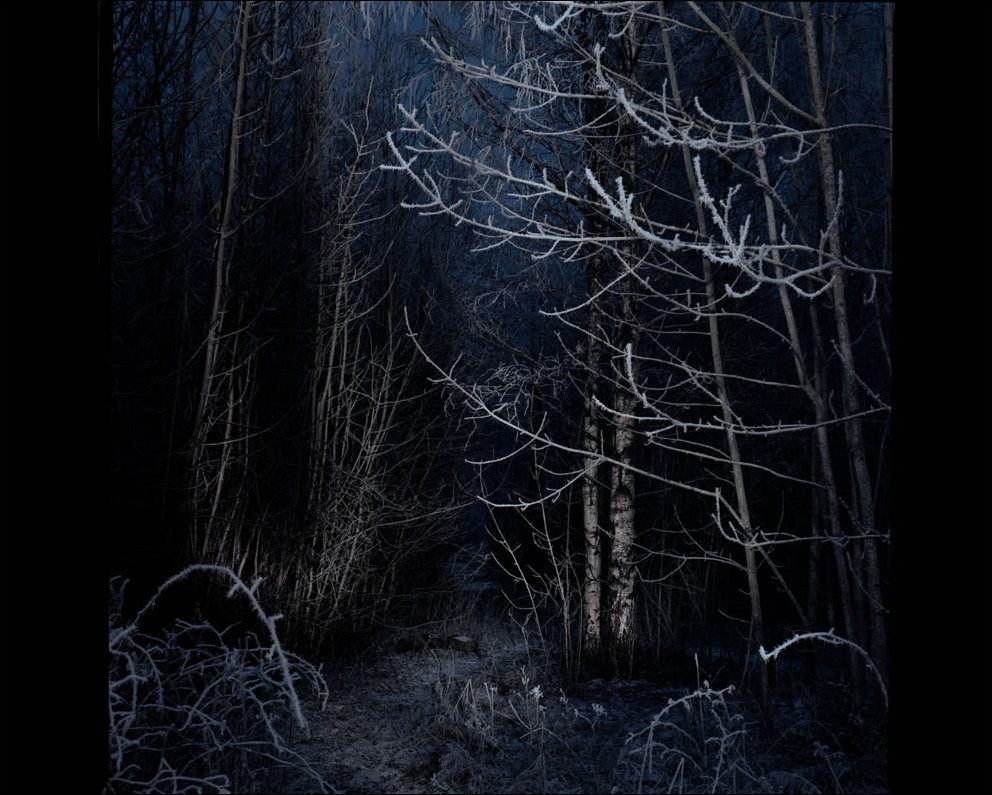 Пугающий лес