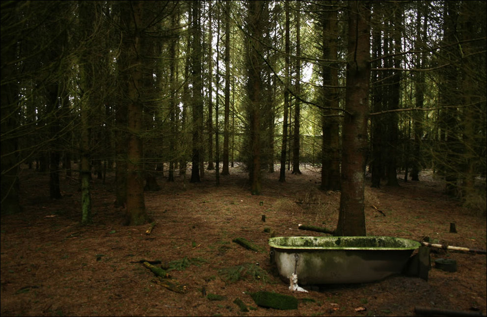 Пугающий лес