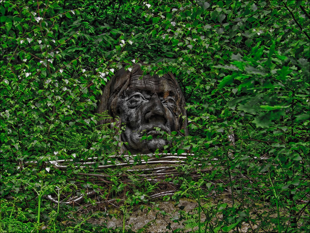 Пугающий лес