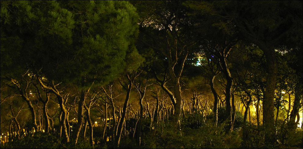 Пугающий лес