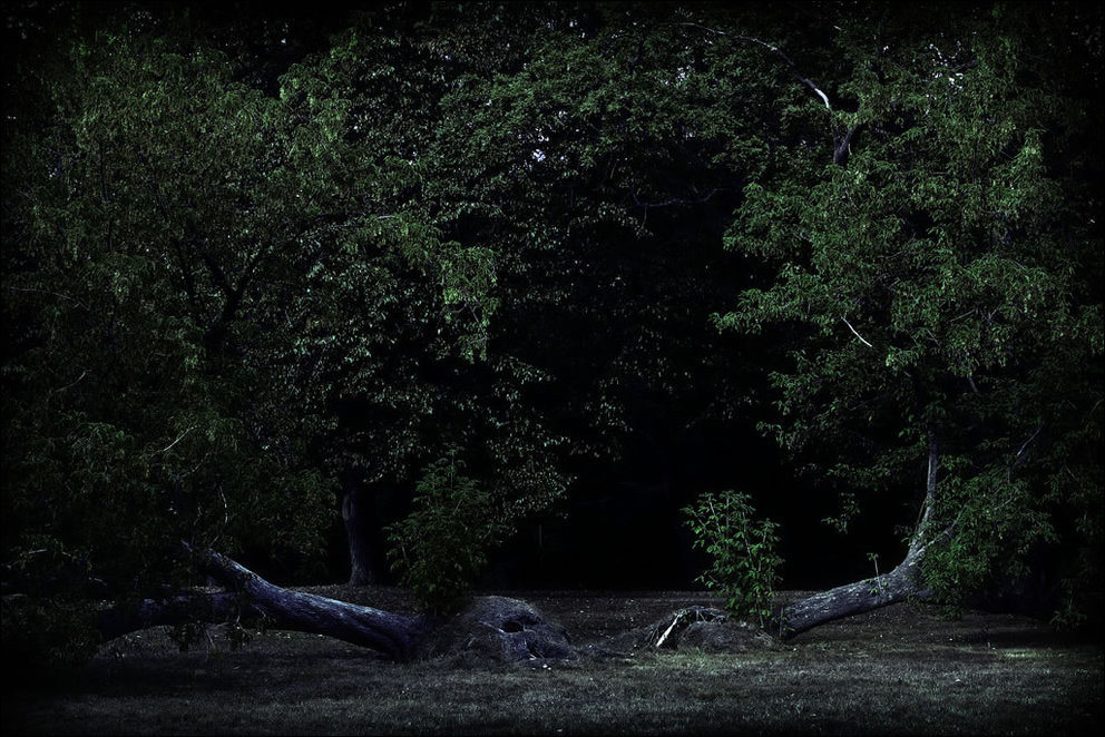 Пугающий лес