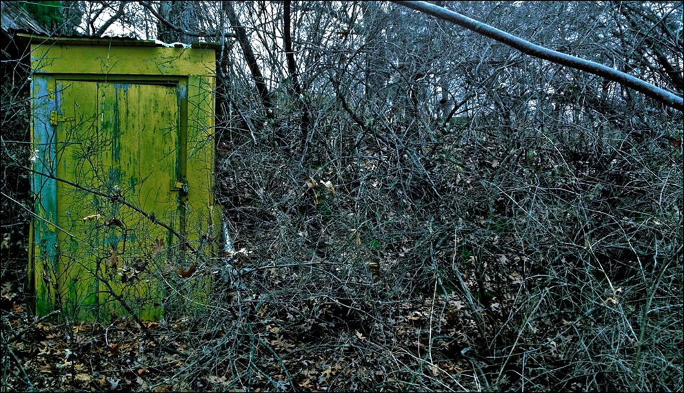 Пугающий лес