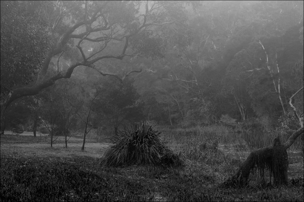 Пугающий лес