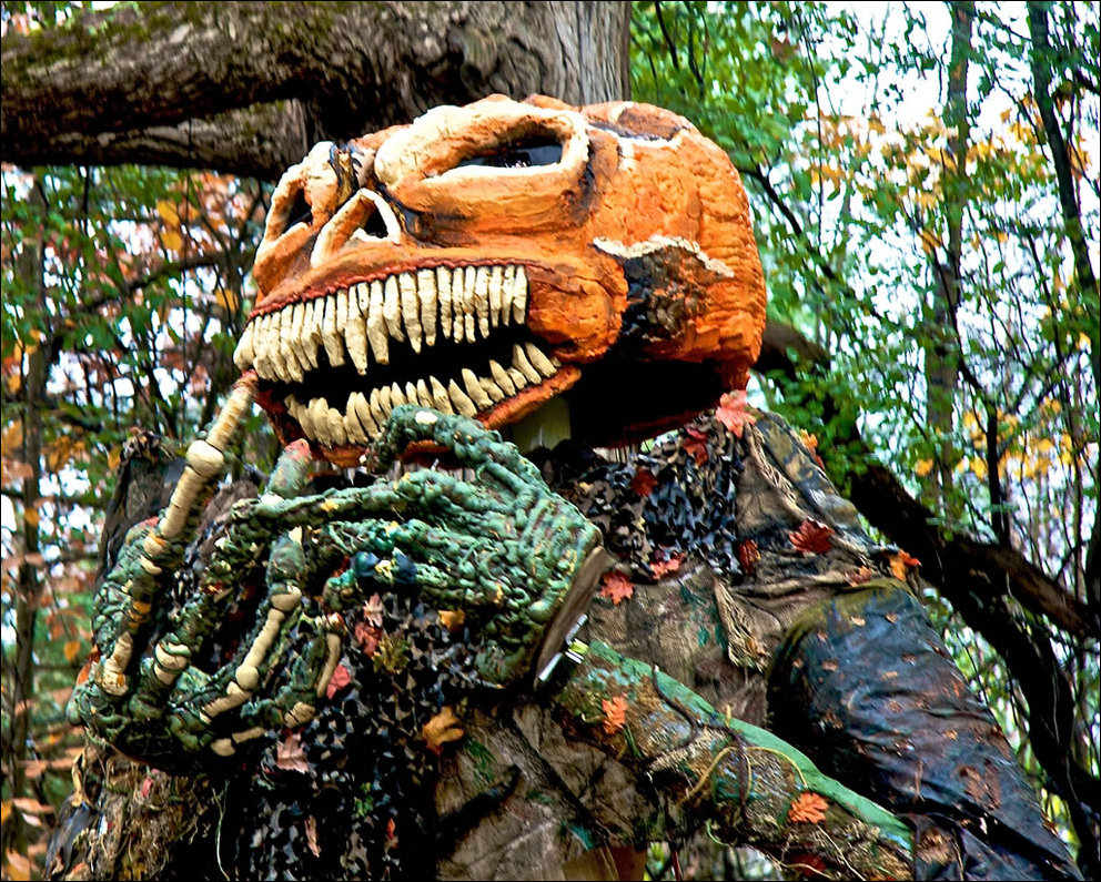 Пугающий лес