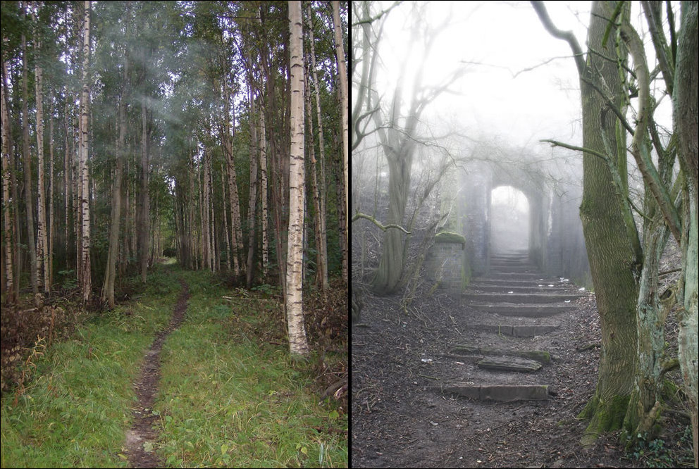 Пугающий лес