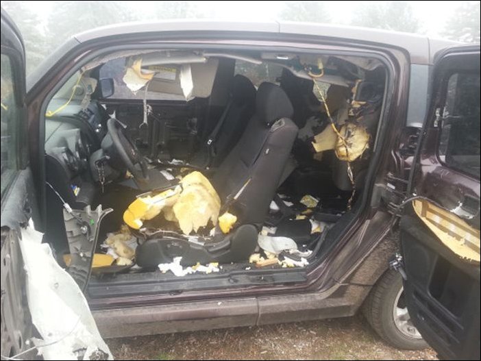 Медведи съели Хонду