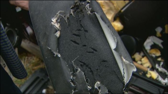 Медведи съели Хонду