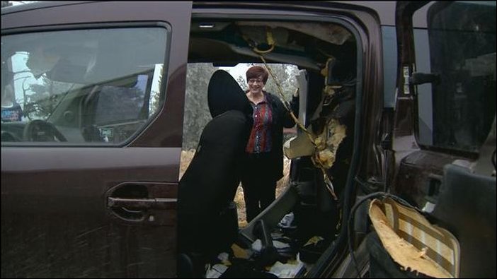 Медведи съели Хонду