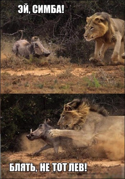 Комиксы и карикатуры