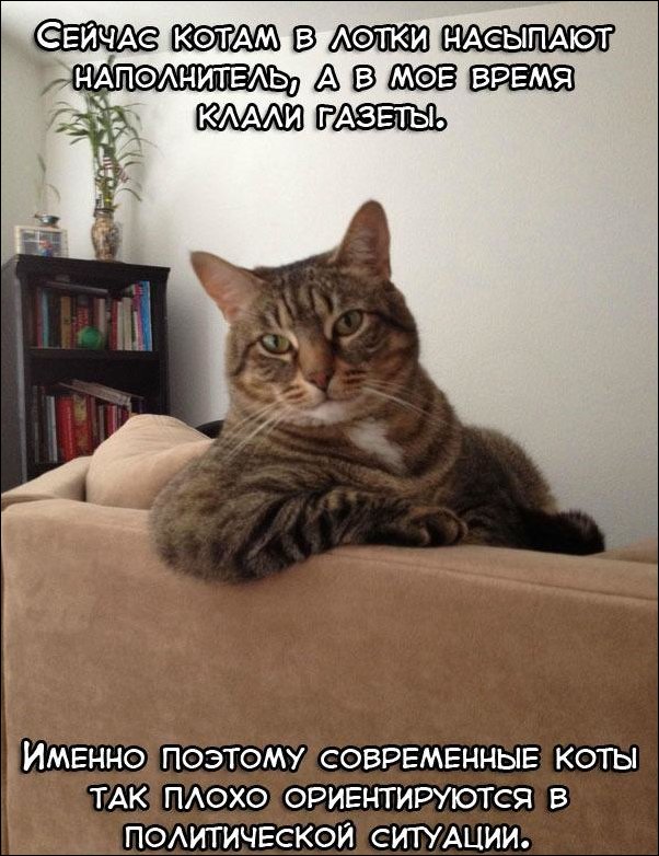 Комиксы и карикатуры