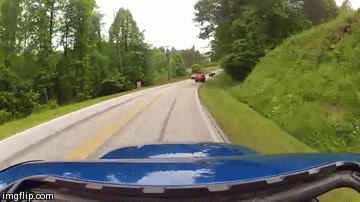 Прикольные гифки