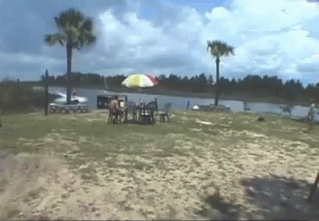 Прикольные гифки