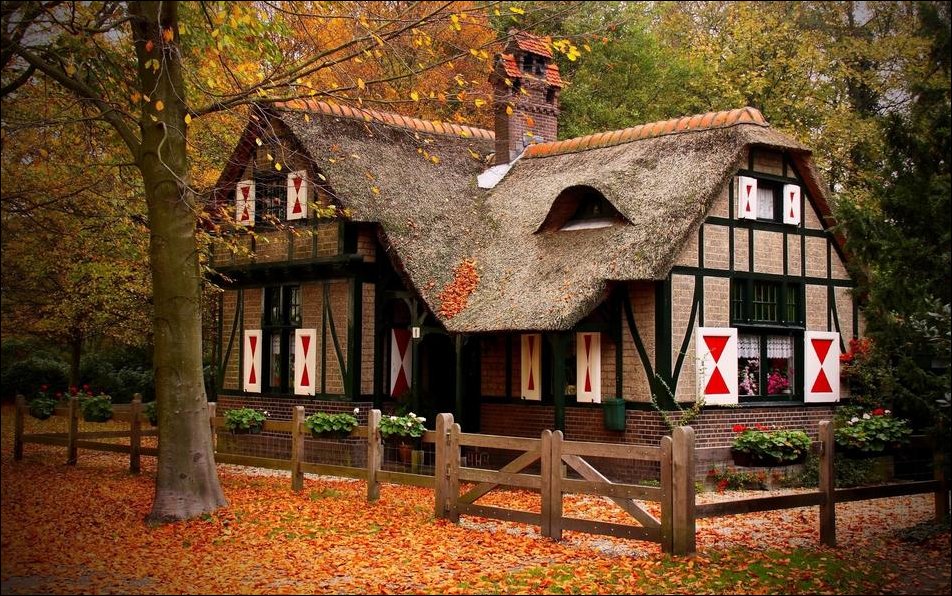 Красивые дома в лесу