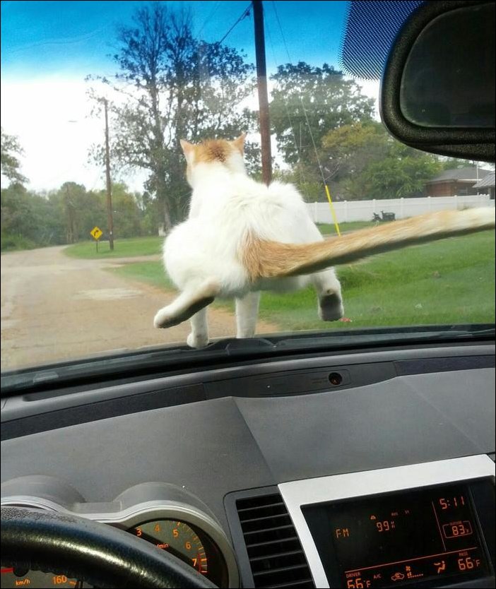 Подборка фотографий