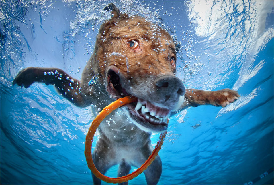 Подборка фотографий
