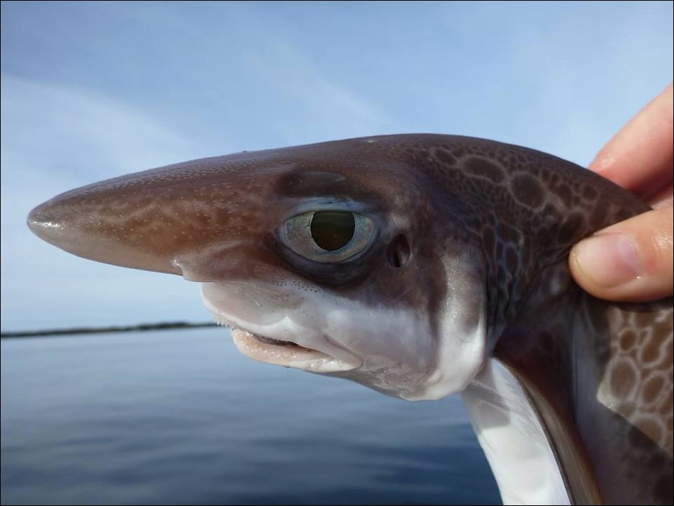 Подборка фотографий