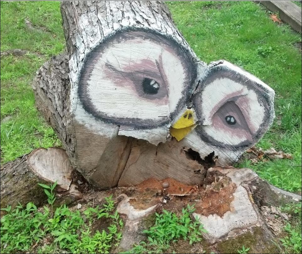 Подборка фотографий