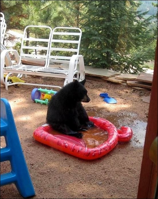 Подборка фотографий