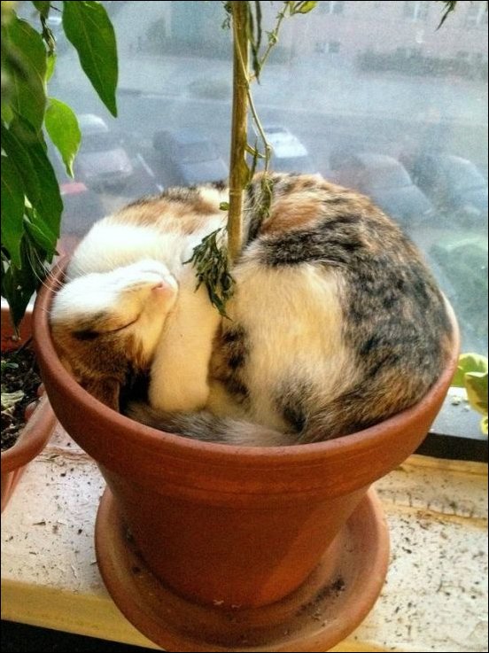 Подборка фотографий