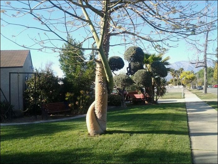 Подборка фотографий