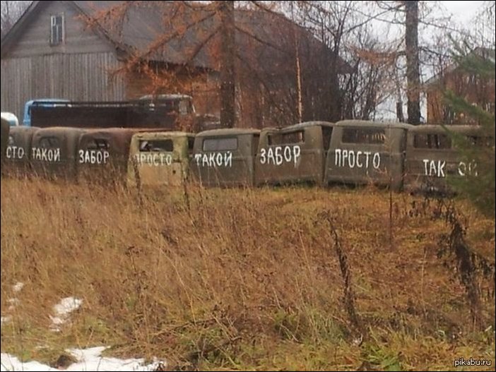 Подборка фотографий