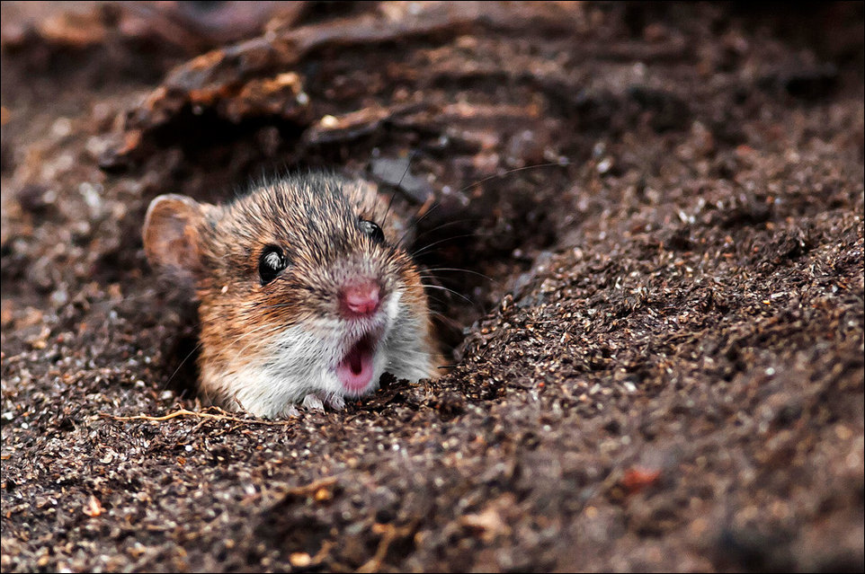 Подборка фотографий
