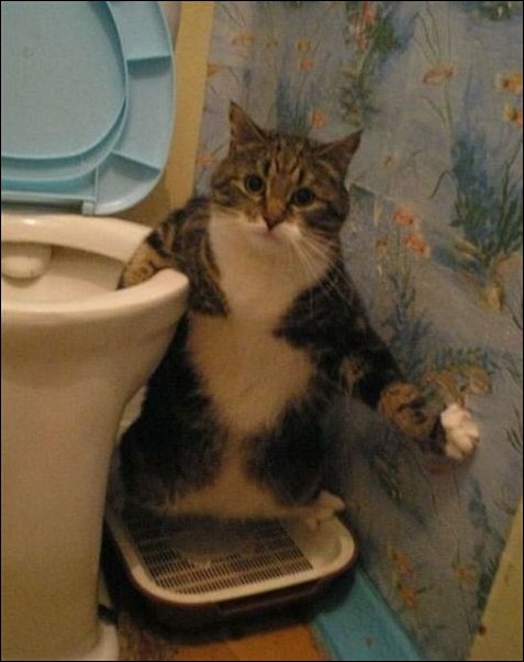 Подборка фотографий