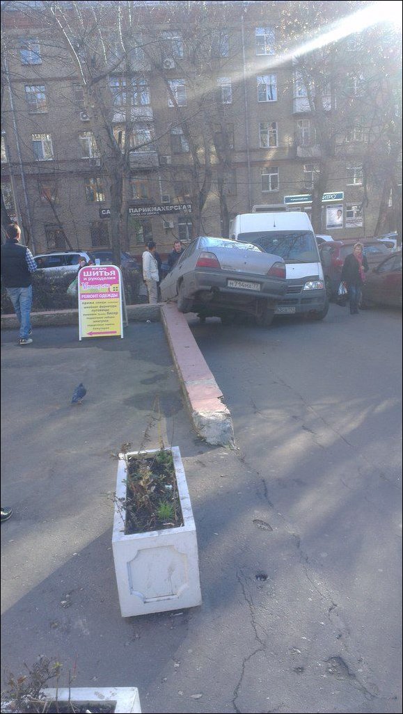 Подборка фотографий