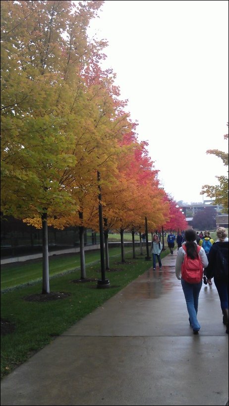 Подборка фотографий