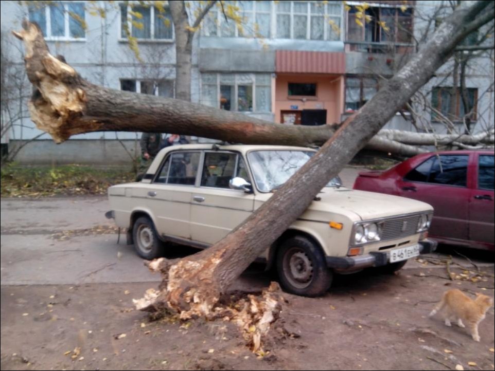 Ветреный день в Пскове