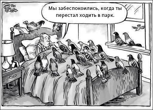 Комиксы и карикатуры