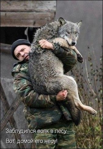 Комиксы и карикатуры