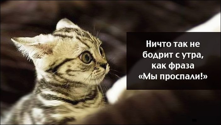 Комиксы и карикатуры