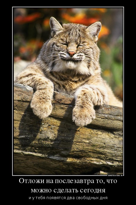 Демотиватор