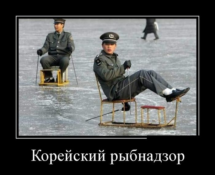 Демотиватор