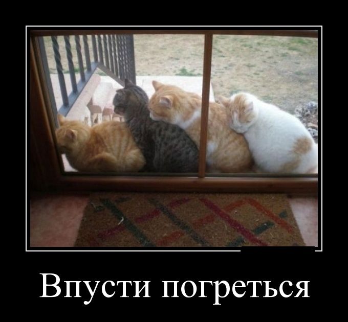 Демотиватор