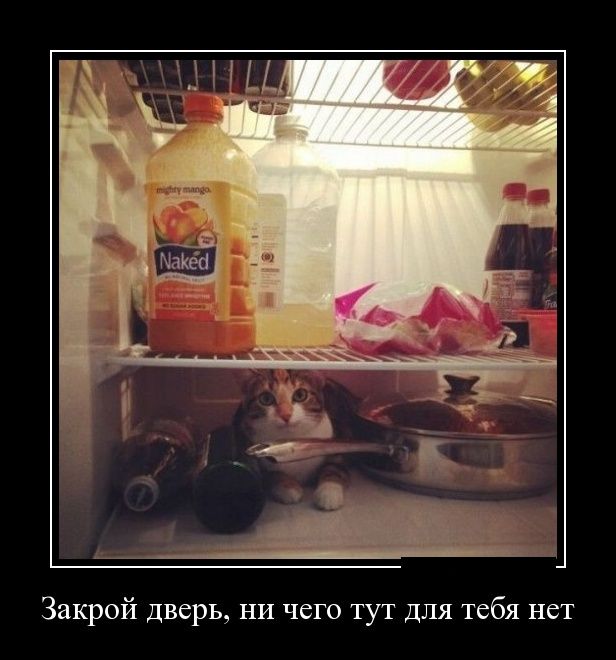 Демотиватор