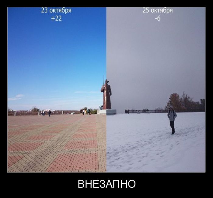 Демотиватор