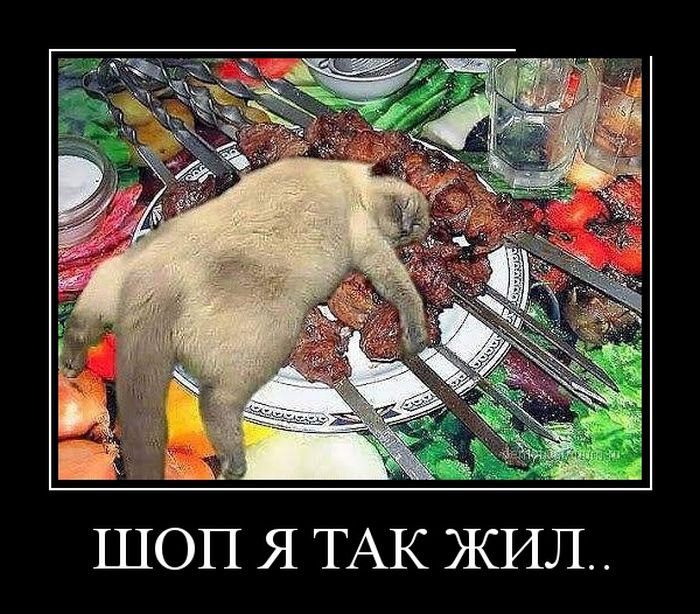 Демотиватор