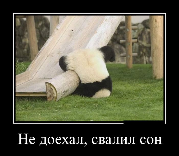 Демотиватор