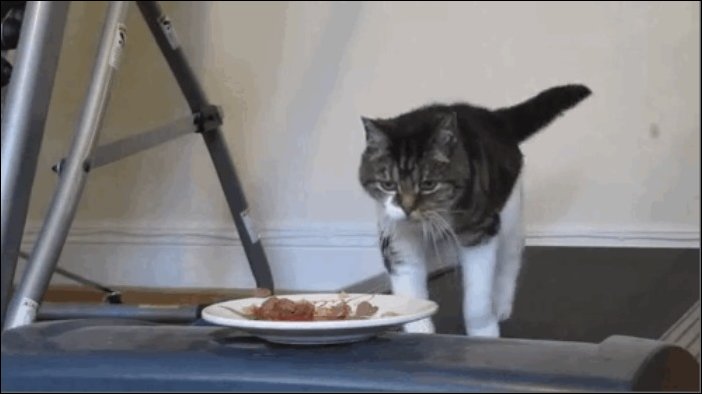 Прикольные гифки