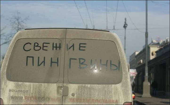 Прикольные надписи и объявления