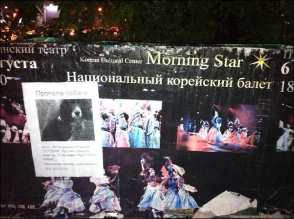 смешные надписи