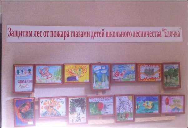 смешные надписи