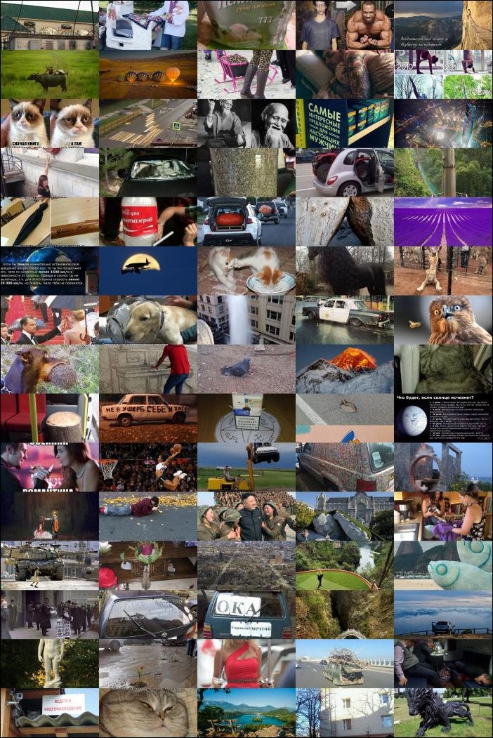 Фото приколы